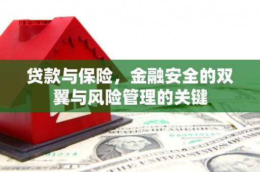 集贤贷款与保险，金融安全的双翼与风险管理的关键