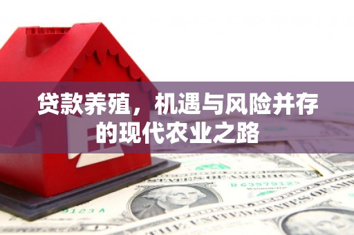 集贤贷款养殖，机遇与风险并存的现代农业之路