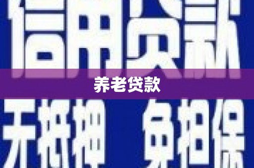 集贤养老贷款