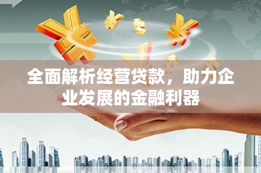 集贤全面解析经营贷款，助力企业发展的金融利器