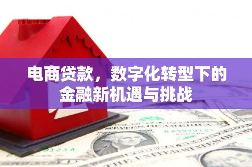集贤电商贷款，数字化转型下的金融新机遇与挑战