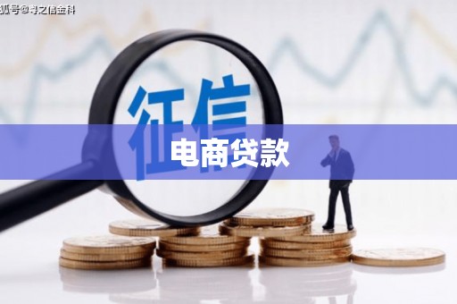 集贤电商贷款