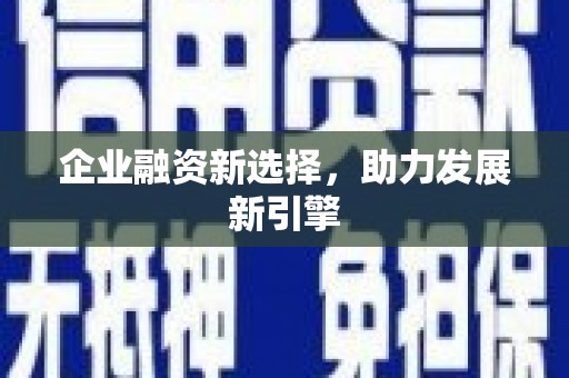 集贤企业融资新选择，助力发展新引擎