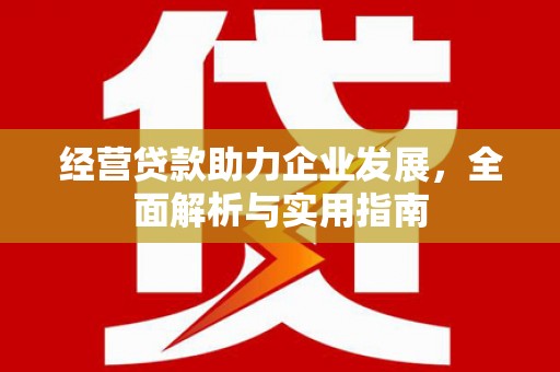 集贤经营贷款助力企业发展，全面解析与实用指南