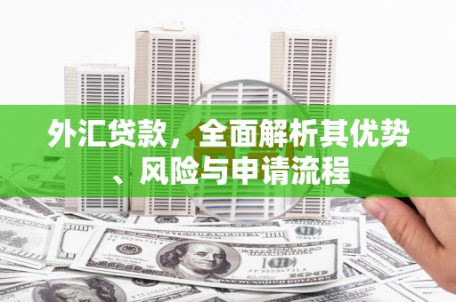 集贤外汇贷款，全面解析其优势、风险与申请流程