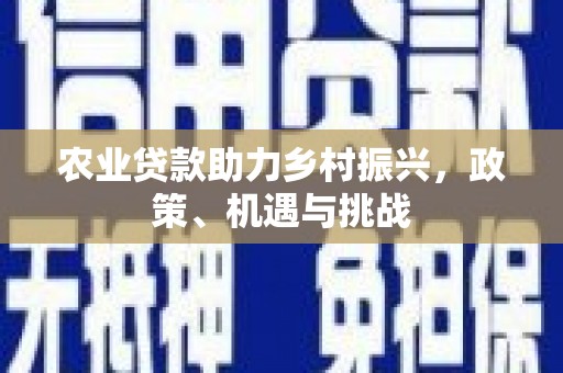 集贤农业贷款助力乡村振兴，政策、机遇与挑战