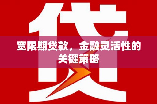集贤宽限期贷款，金融灵活性的关键策略