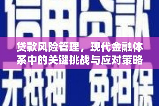 集贤贷款风险管理，现代金融体系中的关键挑战与应对策略