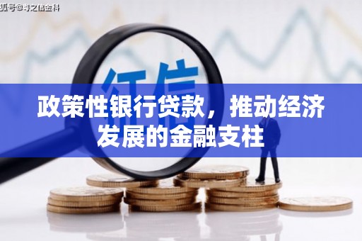 集贤政策性银行贷款，推动经济发展的金融支柱