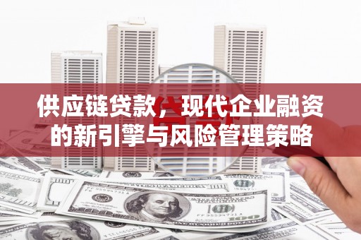 集贤供应链贷款，现代企业融资的新引擎与风险管理策略