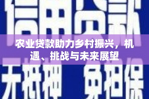 集贤农业贷款助力乡村振兴，机遇、挑战与未来展望