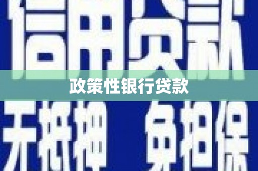 集贤政策性银行贷款