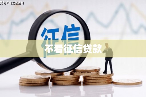 集贤不看征信贷款