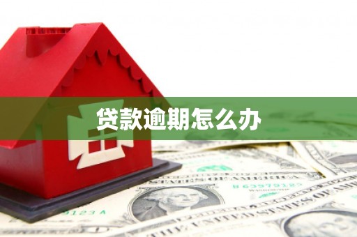 集贤贷款逾期怎么办