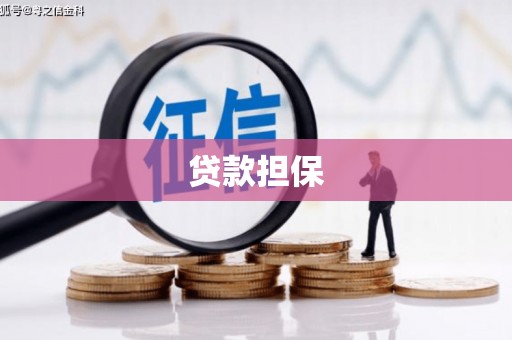 集贤贷款担保