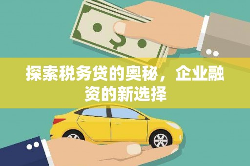 集贤探索税务贷的奥秘，企业融资的新选择