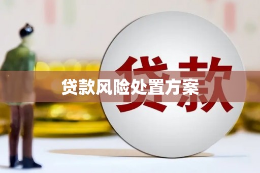 集贤贷款风险处置方案