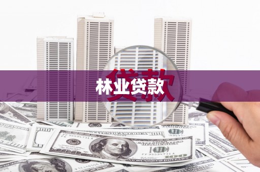 集贤林业贷款