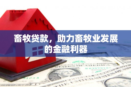 集贤畜牧贷款，助力畜牧业发展的金融利器