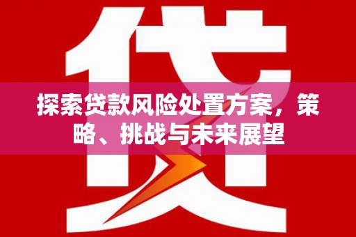 集贤探索贷款风险处置方案，策略、挑战与未来展望