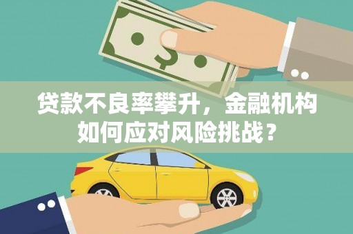 集贤贷款不良率攀升，金融机构如何应对风险挑战？