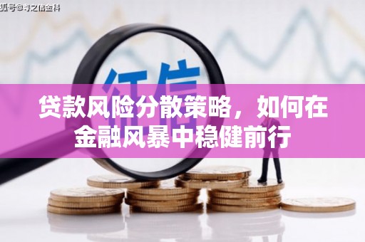 集贤贷款风险分散策略，如何在金融风暴中稳健前行