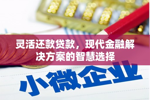集贤灵活还款贷款，现代金融解决方案的智慧选择