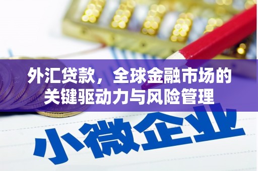 集贤外汇贷款，全球金融市场的关键驱动力与风险管理