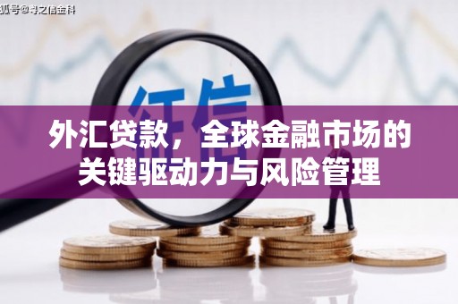 集贤外汇贷款，全球金融市场的关键驱动力与风险管理