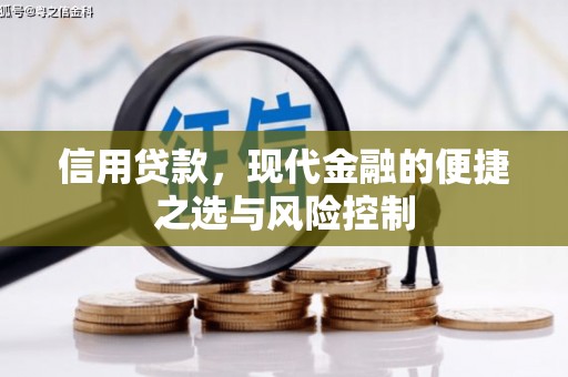 集贤信用贷款，现代金融的便捷之选与风险控制