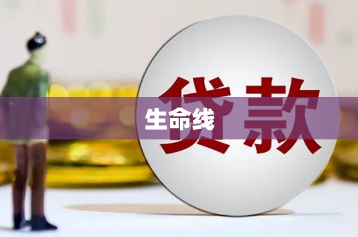 集贤生命线