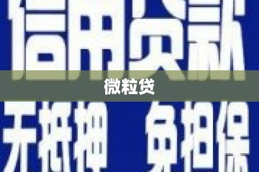 集贤微粒贷