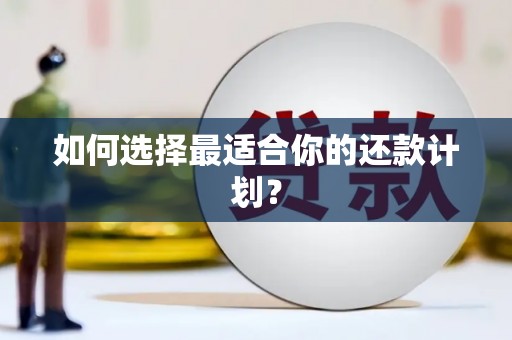 集贤如何选择最适合你的还款计划？