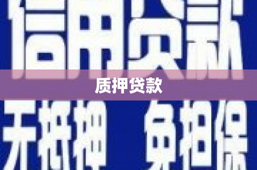 集贤质押贷款