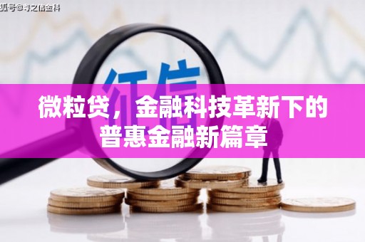 集贤微粒贷，金融科技革新下的普惠金融新篇章