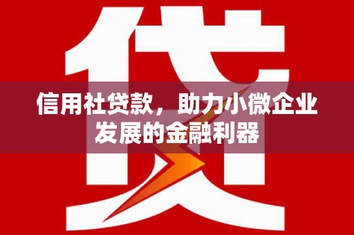 集贤信用社贷款，助力小微企业发展的金融利器