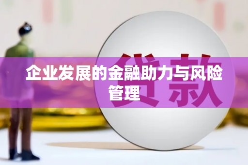 集贤企业发展的金融助力与风险管理