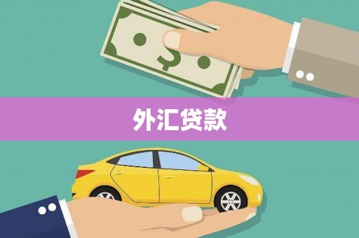 集贤外汇贷款