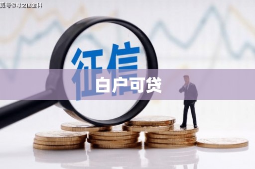 集贤白户可贷