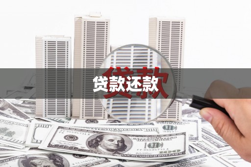 集贤贷款还款
