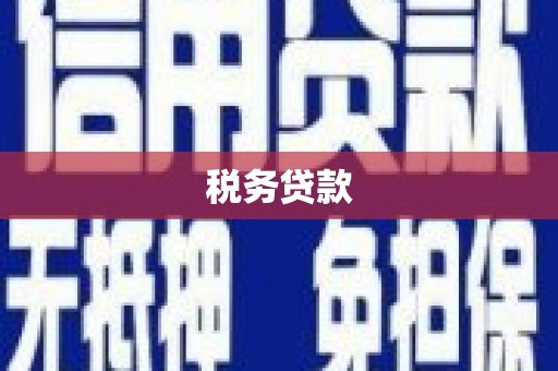 集贤税务贷款