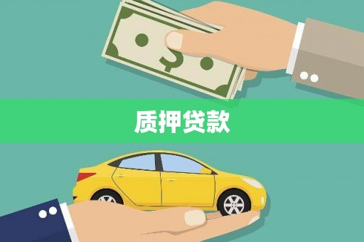 集贤质押贷款