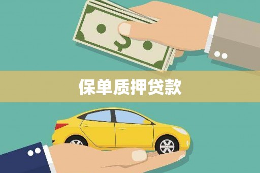 集贤保单质押贷款