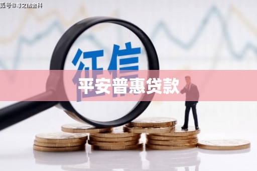 集贤平安普惠贷款