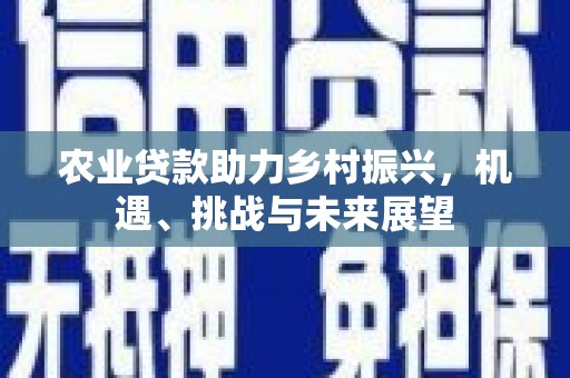 集贤农业贷款助力乡村振兴，机遇、挑战与未来展望