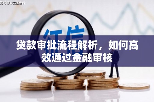 集贤贷款审批流程解析，如何高效通过金融审核