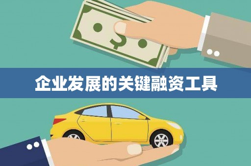 集贤企业发展的关键融资工具