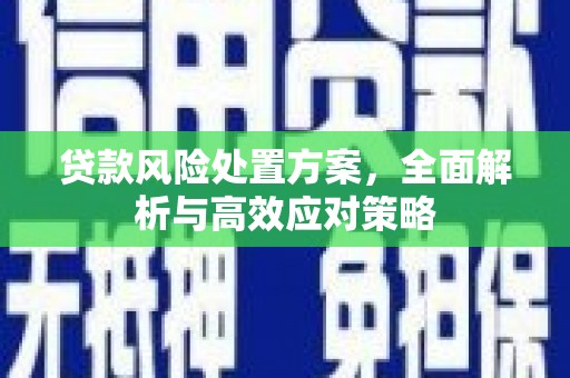 集贤贷款风险处置方案，全面解析与高效应对策略