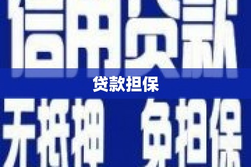 集贤贷款担保