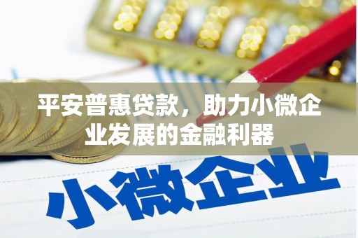 集贤平安普惠贷款，助力小微企业发展的金融利器